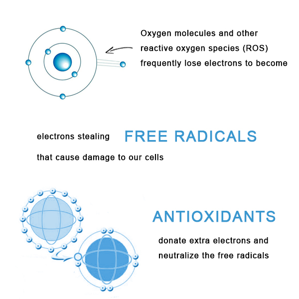 Antioxidants Neutralize Free Radicals